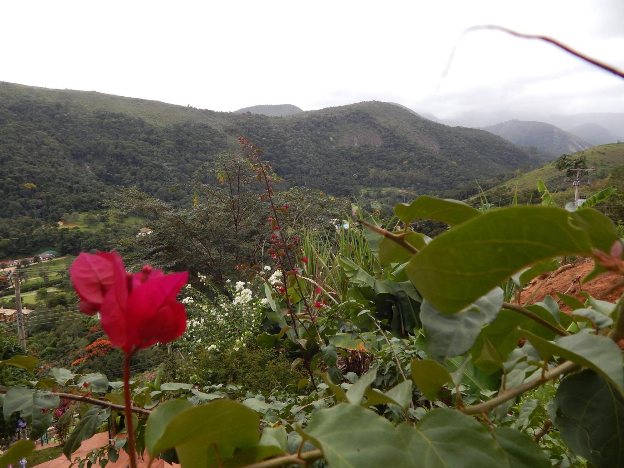 Pousada Quinta Do Alto Itaipava Værelse billede